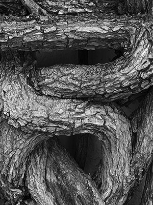 Approche et méthodes - Ideolding